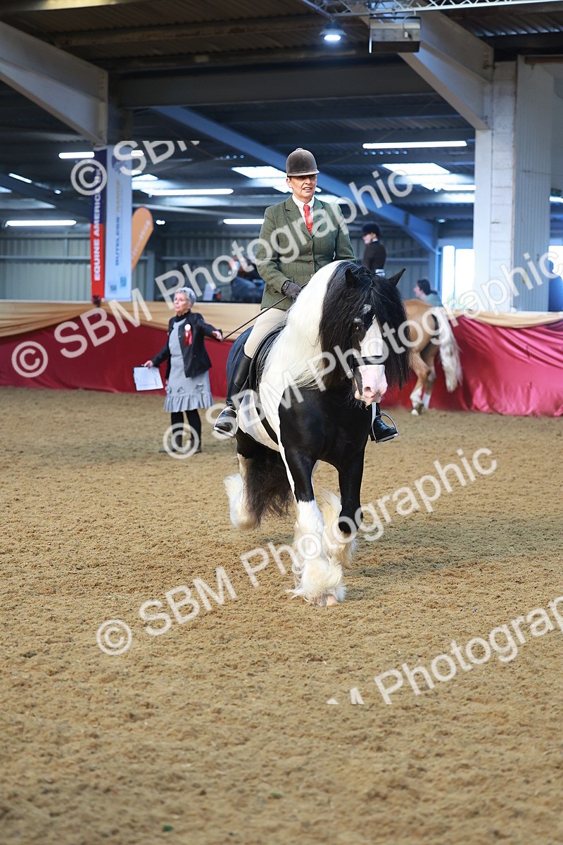 SBM_09425 - Class 102 - HOYS Veteran Qualifier - Ridden Veteran