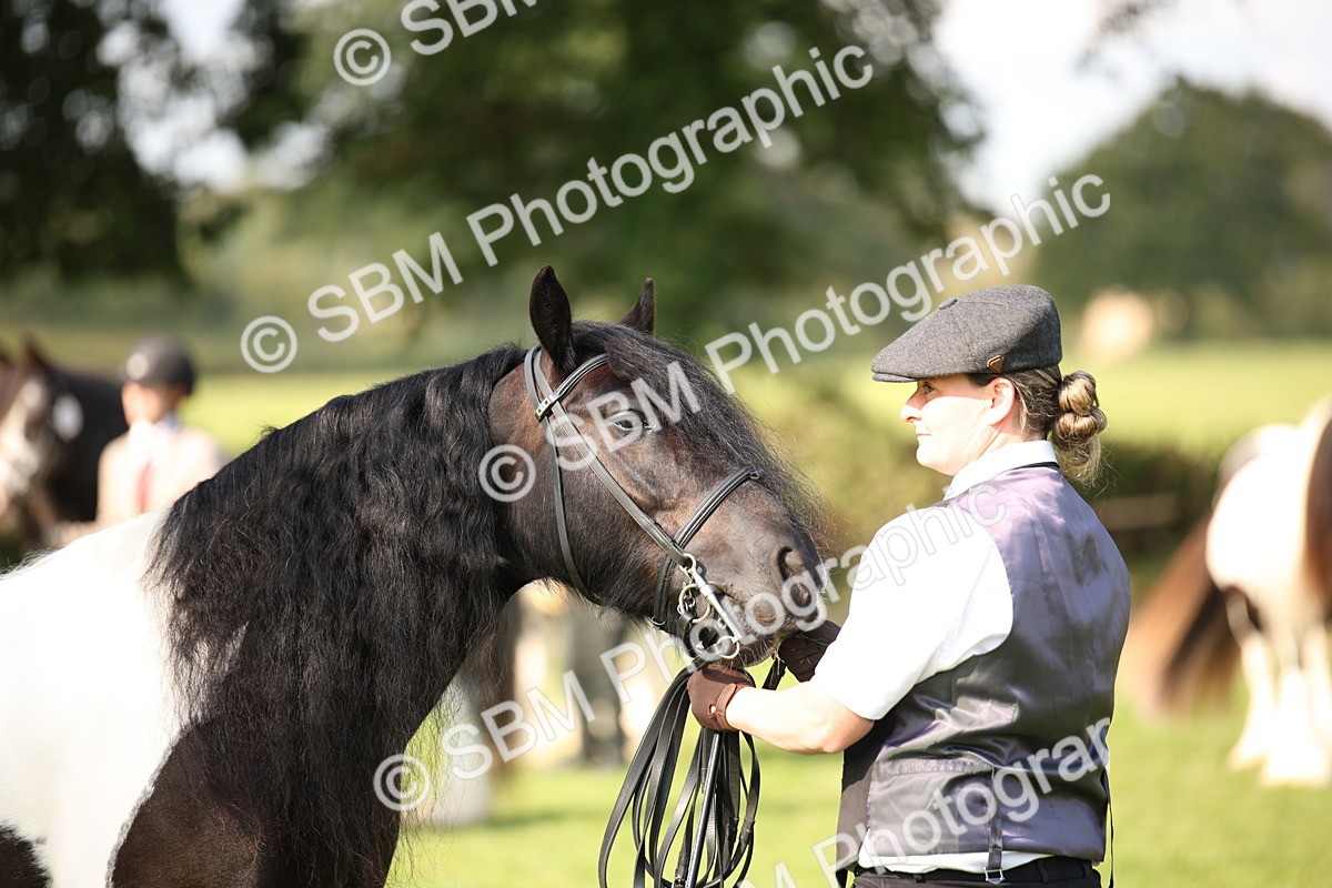 SBM_62270 - S55 - Traditional Cob In Hand