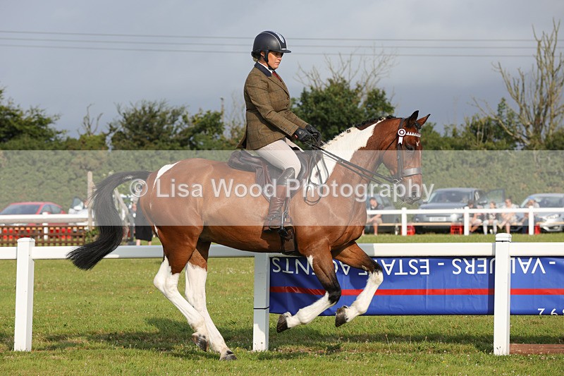 1X9A2875 - Class 25: Ridden Plaited Coloured Horse