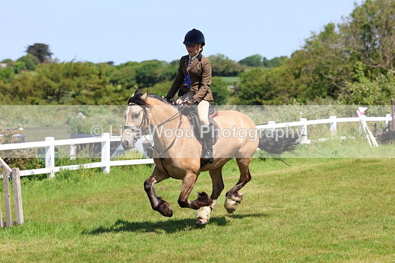 3E7A6785 - Working Hunter Pony Championship