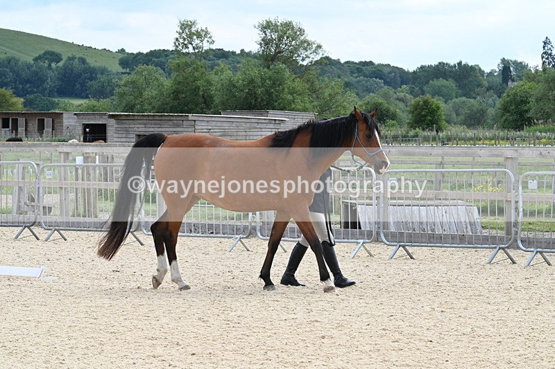 WJ7_7934 - Time 15:39 to 16:08