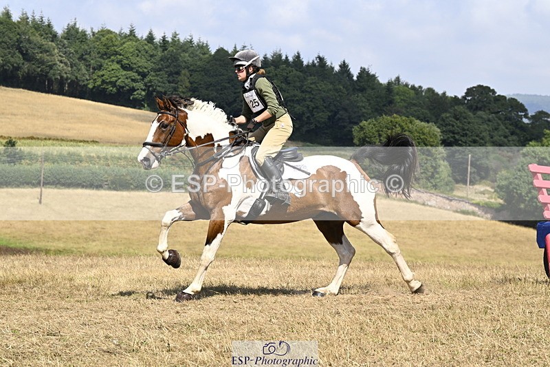 250824A-144023-38058 - 2125-Hen.Jeanes-Painted.proper