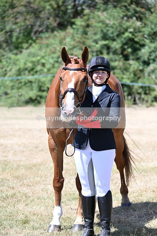 WJ7_2506 - Most Handsome Gelding Champs