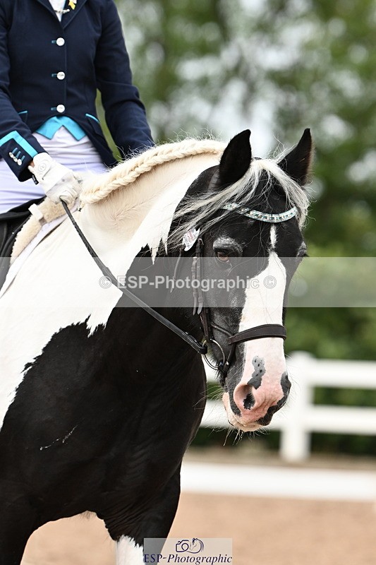 240815A-142954-02057 - 276-Alys.Matravers-Tiger.Tim