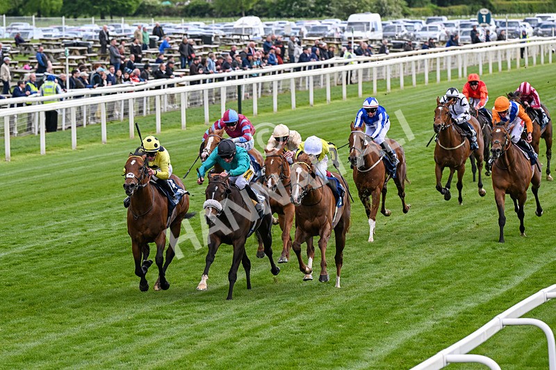 140526-Race 6-Dickensian-0331 - Race 6 4.40pm British Stallion Studs EBF Westow Stakes