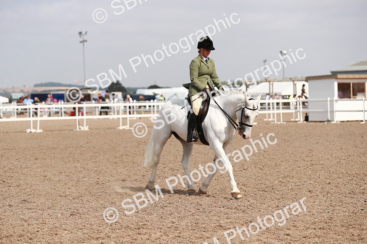 SBM_14907 - Class 212 Ridden Hunter - Small