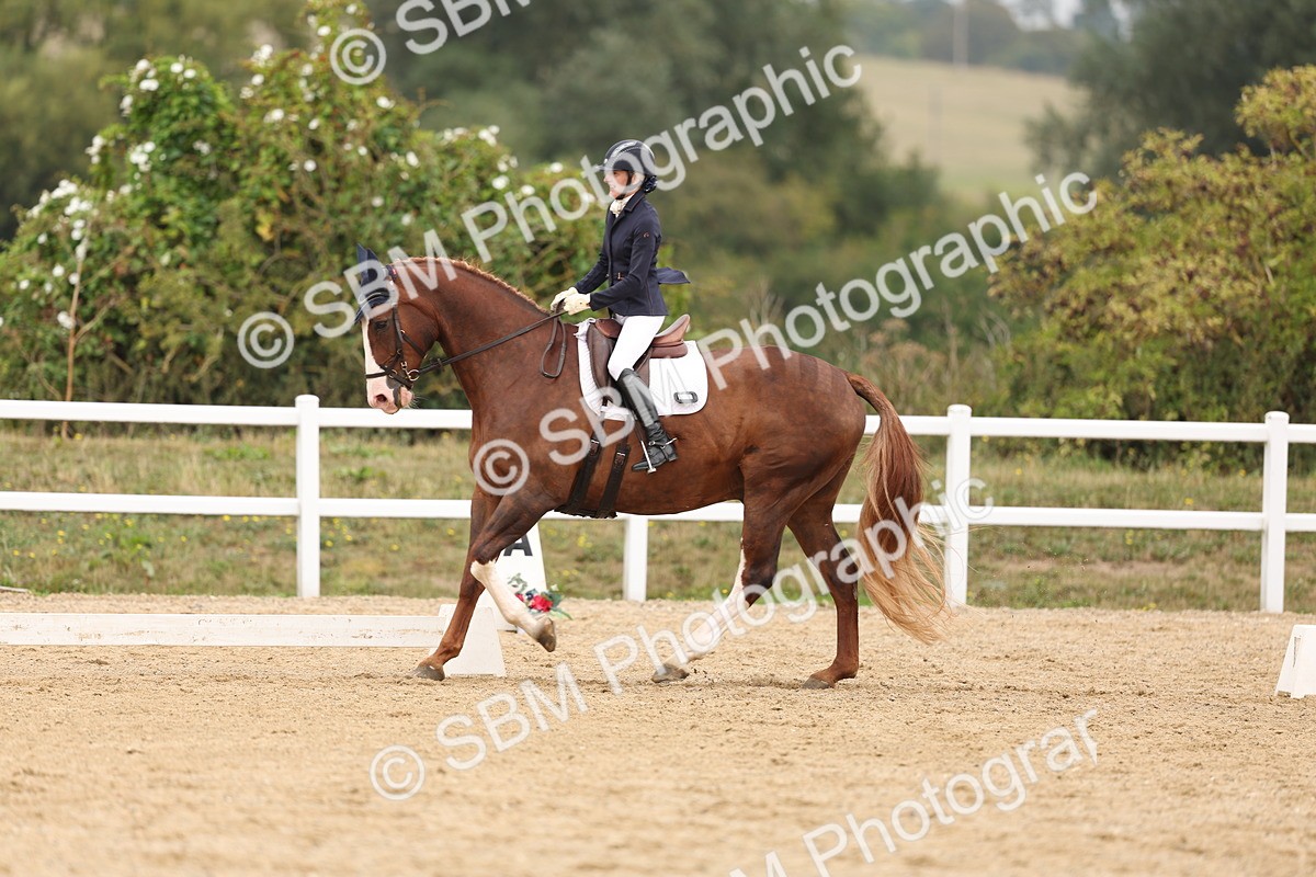 SBM_01646 - Class 9 - Novice 27 Champs