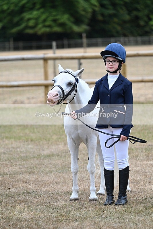 WJ7_8108 - Class 4 Prettiest Mare up to 14.2hh