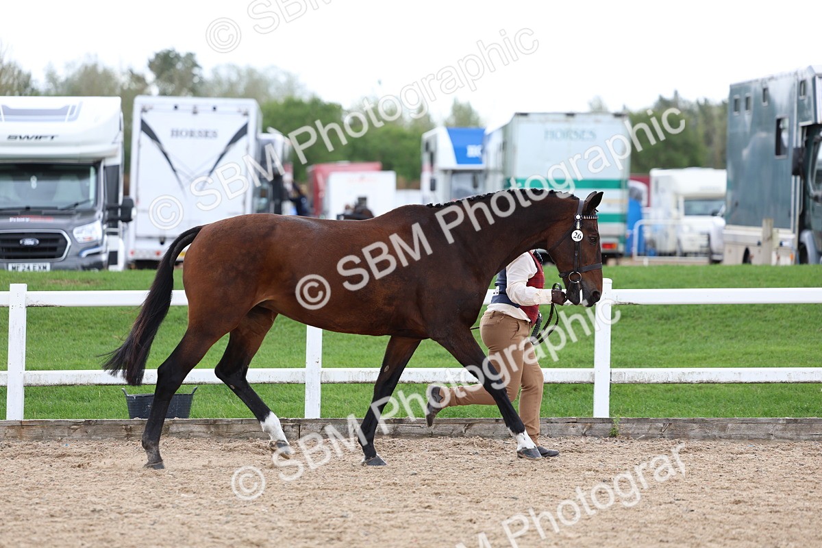 SBM_05021 - Class 27 - IH Competition Horse or Pony