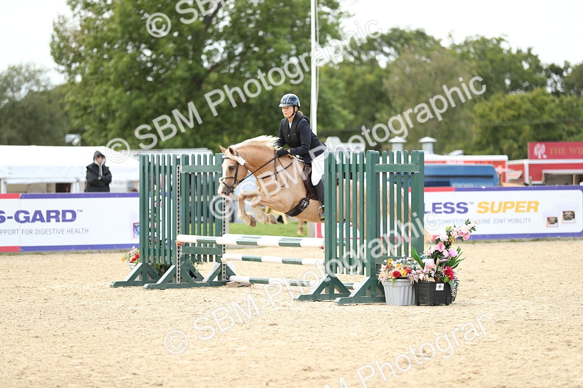 SBM_09987 - J36 - Veteran Rider 70cm