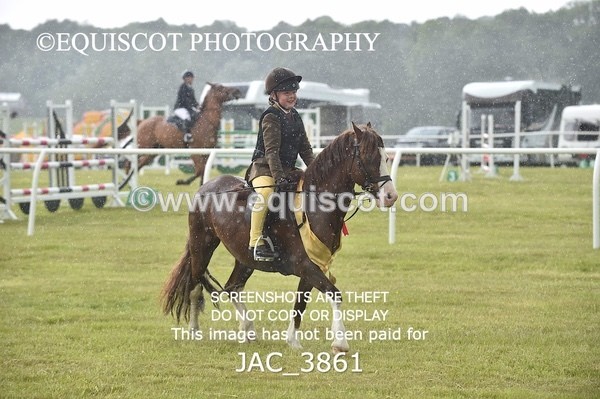 JAC_3861 - 65cm WORKING HUNTER