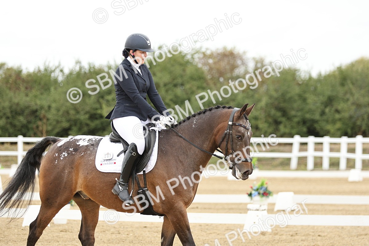 SBM_006999 - Class 21 - Medium 5 Bronze - 10.04-10.52