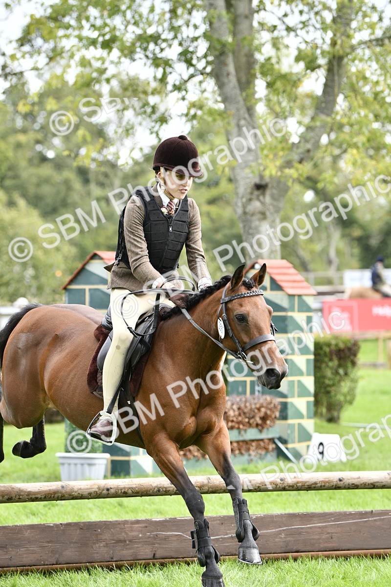 SBM_45614 - S33 - Working Hunter Pony