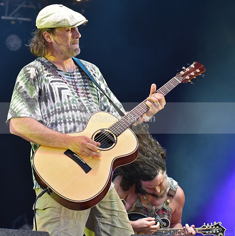 Hayseed Dixie - Cropredy 2016
