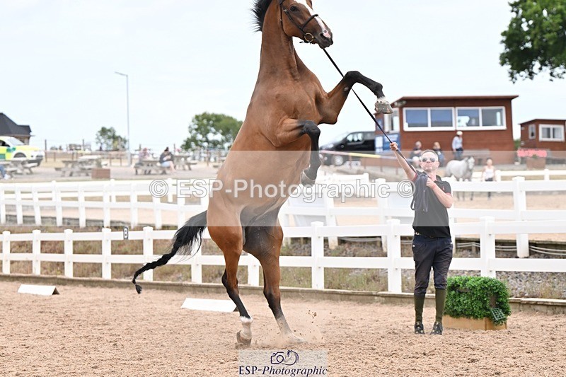 250716-155104-02225 - Trot Up 3.30 to 4.30