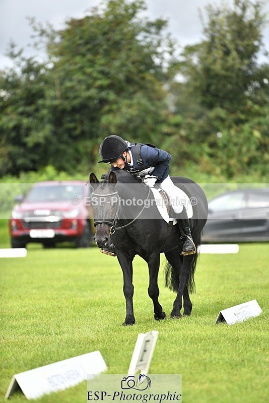 230826-095220-15271 - Sections C & D 9 to 10am