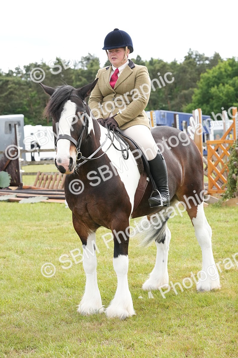 SBM_17335 - Class 107-108 - LIHS BSPS Performance Coloured Horse Pony