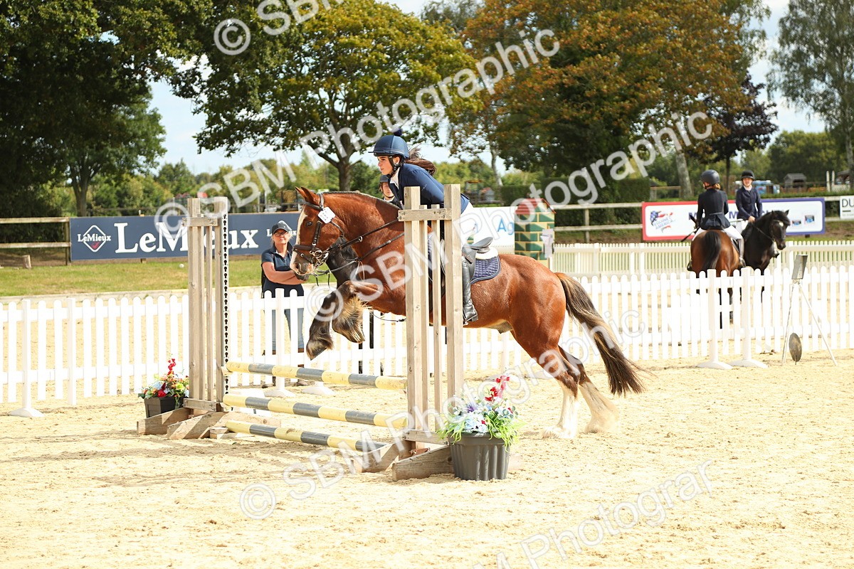SBM_46477 - J7 - Junior Pony 60cm Championship