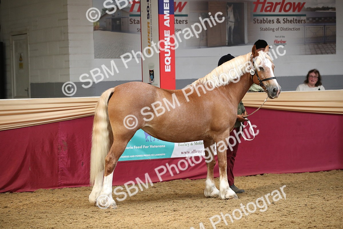 SBM_05304 - Class 8R - Regional IH Veteran