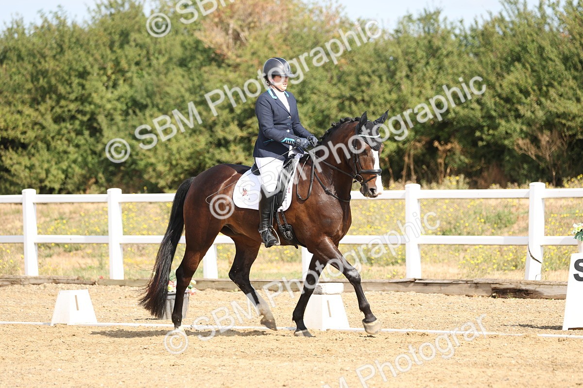 SBM_008479