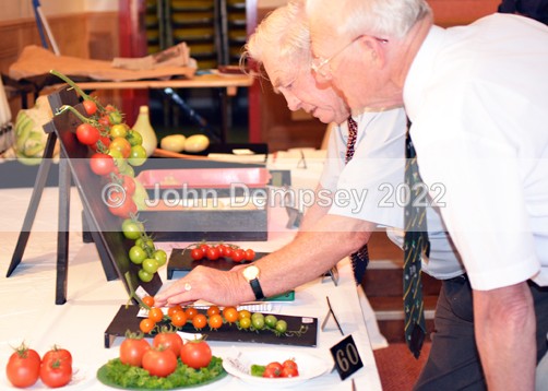 Judging The Veg - Montrose Flower Show