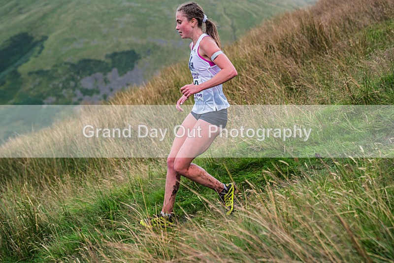 Steel Fell-443 - Steel Fell Race Wednesday 7th August 2024