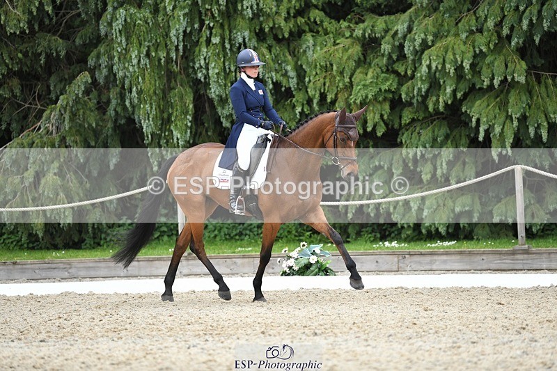 230525-143549-03145 - 322-CHANSON_DU_VILLAGE-Phoebe_Locke-WEDTrotUp+DR