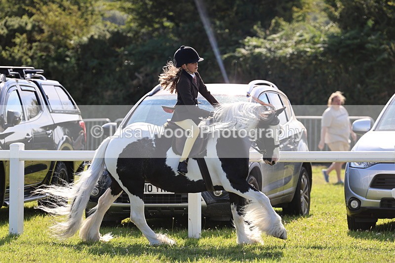 IMG_1543 - Class 30: Ridden Native/Trad Coloured Pony