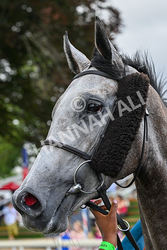 250726-Race 6-Likealot-1259 - Race 6 16.17pm Sky Bet Build A Bet Handicap