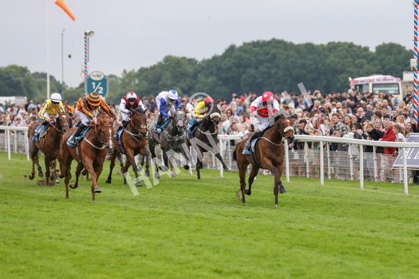 250524-Race 7-Feel The Need-3356 - Race 7 5.05pm Alf Duffield Memorial Handicap