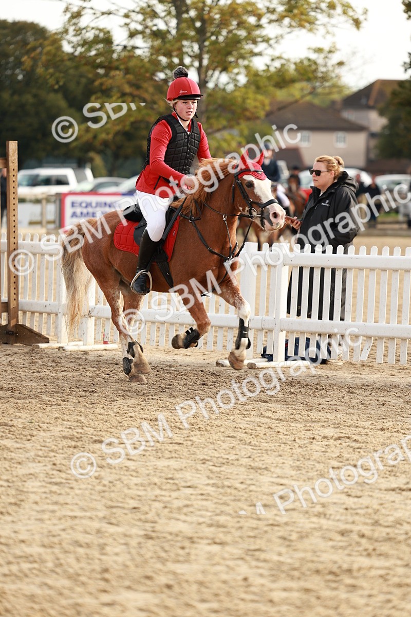 SBM_55631 - J11 - Junior Pony 50cm Championship