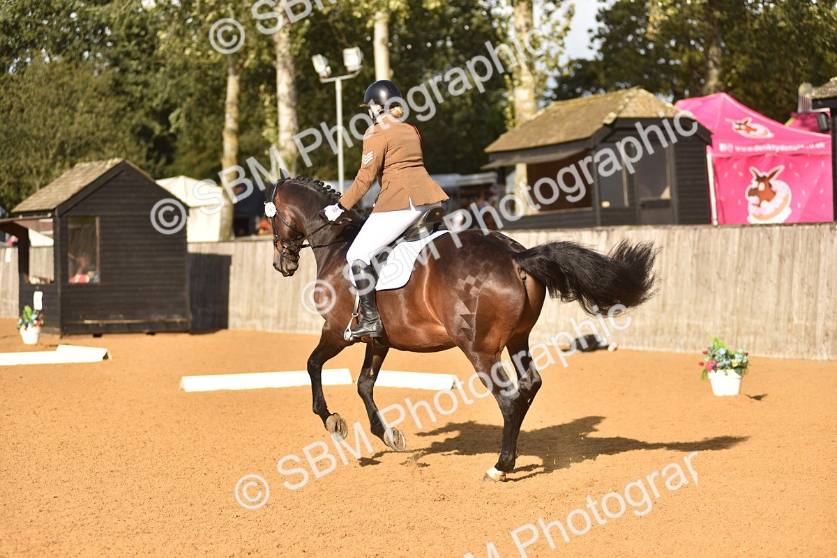 SBM_29590 - D16 -Small Tour Championship Novice 2
