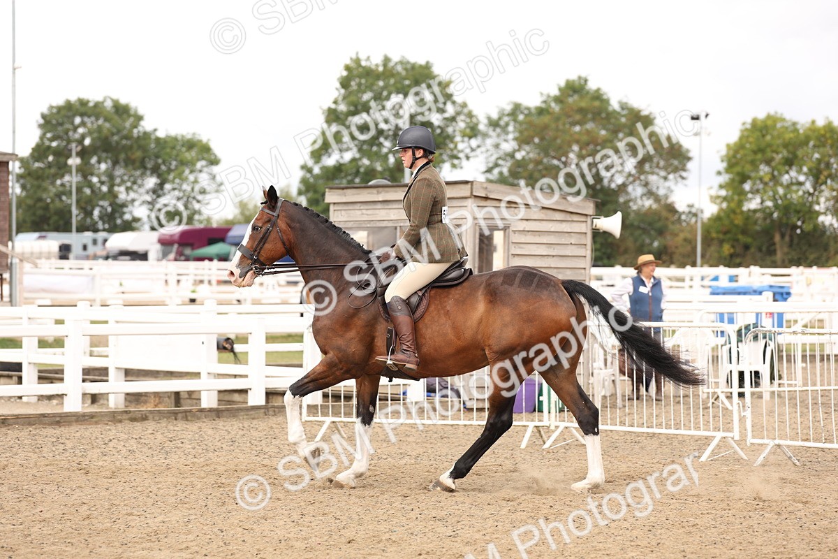 SBM_02874 - Class 53 - Ridden Competition Horse/Pony