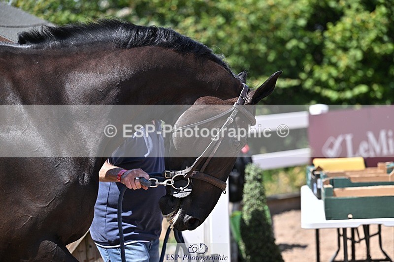 250716-123205-00040 - Trot Up 12.30 to 1.30