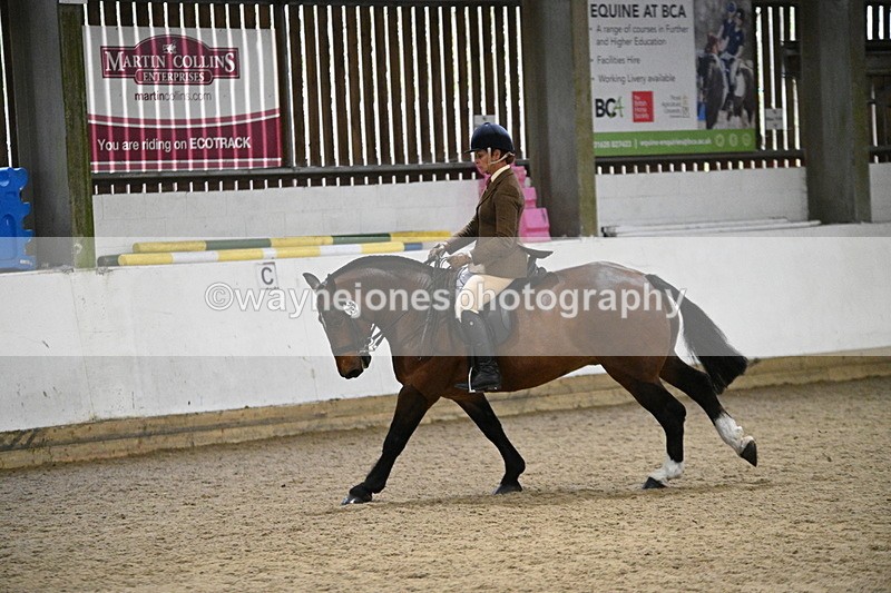 WJ7_4034 - Class 17 Ridden Cob