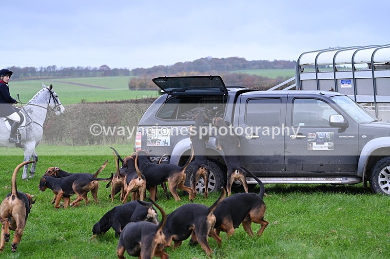 WJ7_8875 - Meet Staff & Hounds