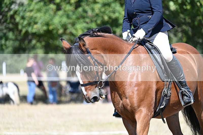 WJ7_0718 - Time 12:03 to 12:23