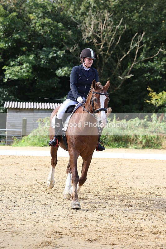 3E7A2242 - Class 1: Intro 4 2024 section A