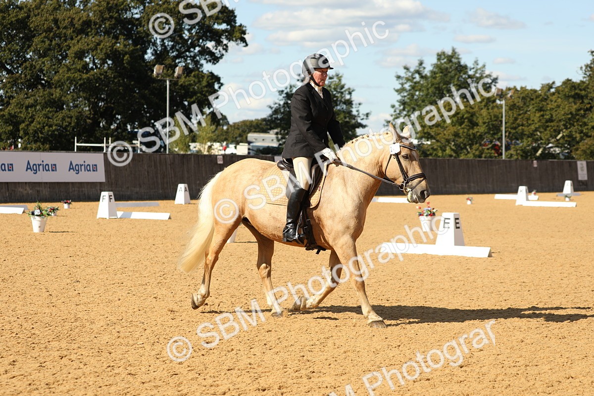 SBM_24595 - D17 - Grand Tour Championship - Novice 27