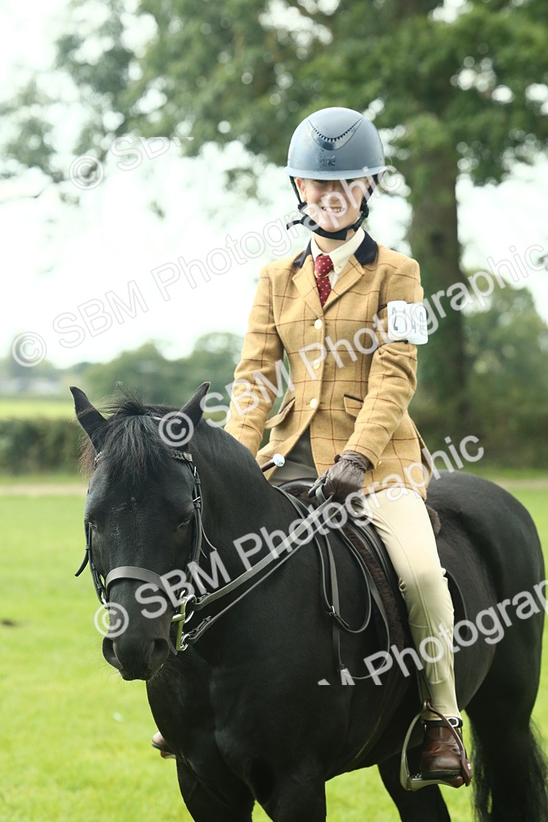 SBM_66462 - S34 - Rehabilitated Rescue Horse & Pony In Hand & Ridden