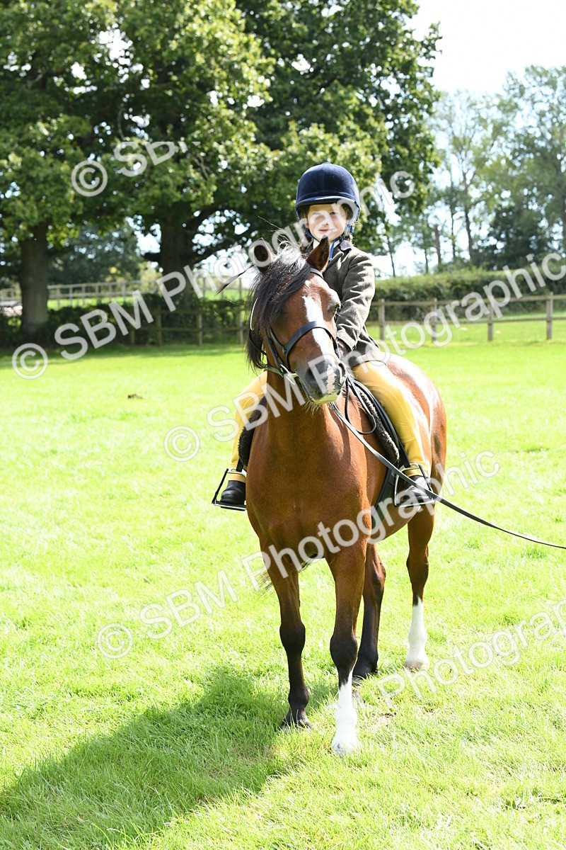 SBM_42587 - S20 - Lead Rein Mountain & Moorland Pony