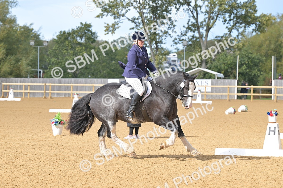 SBM_09287 - D8 - Small Tour Championship Prelim 1