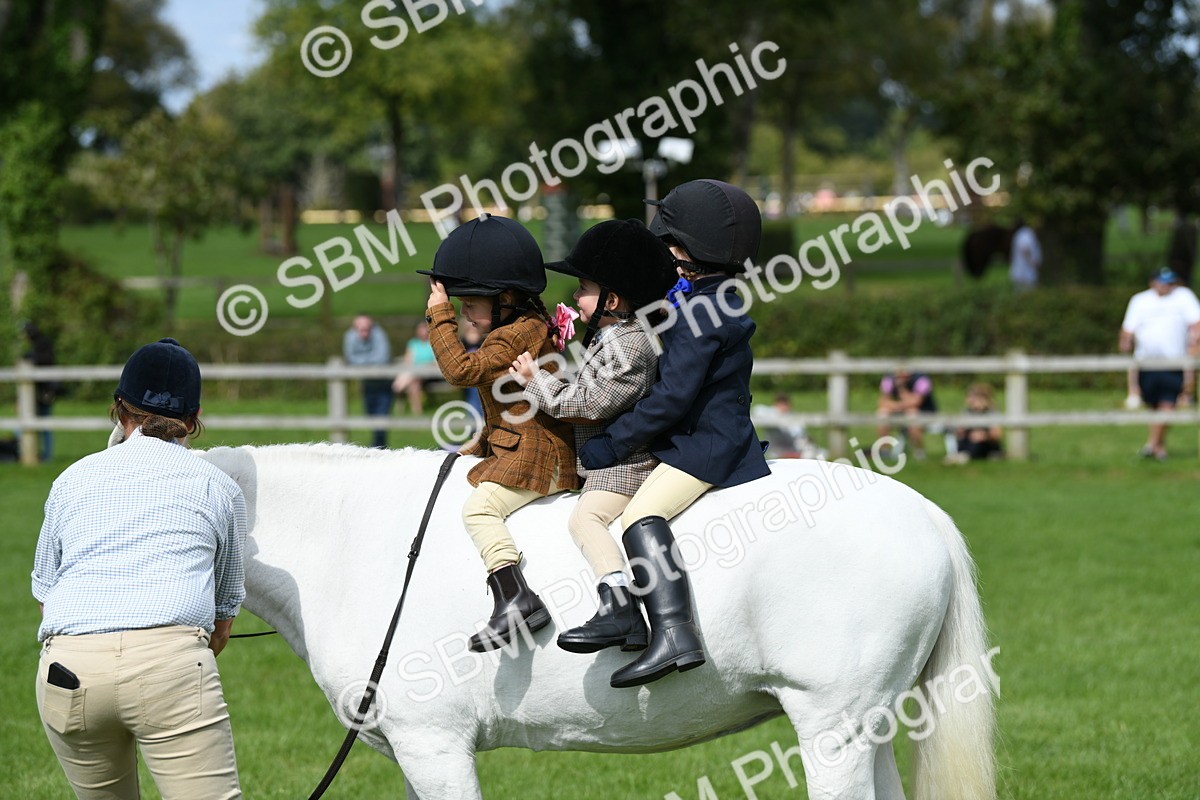 SBM_46795 - S12 - Family Horse & Pony