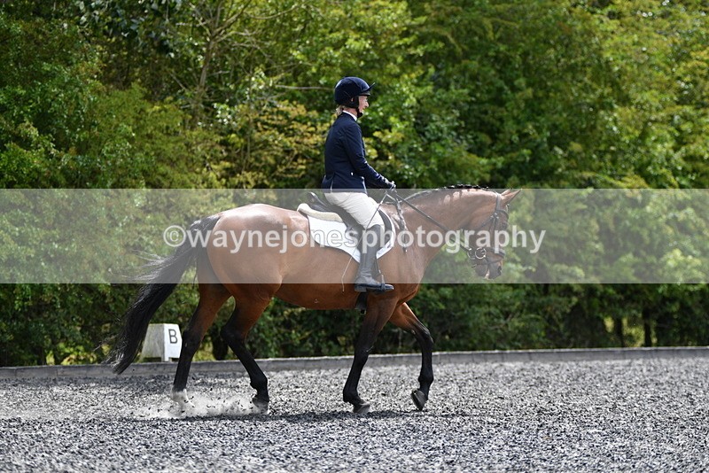 WJ5_0727 - Time 13:04 to 13:42