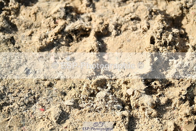 251004A-153315-01874 - Classes 8 & 9 70cm