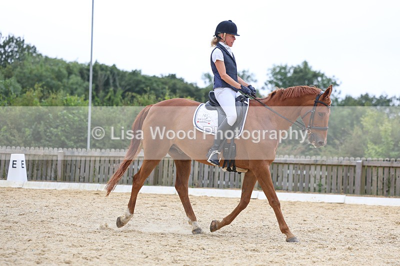 3E7A7197 - Class 9: Elementary 4 2024 - No sections