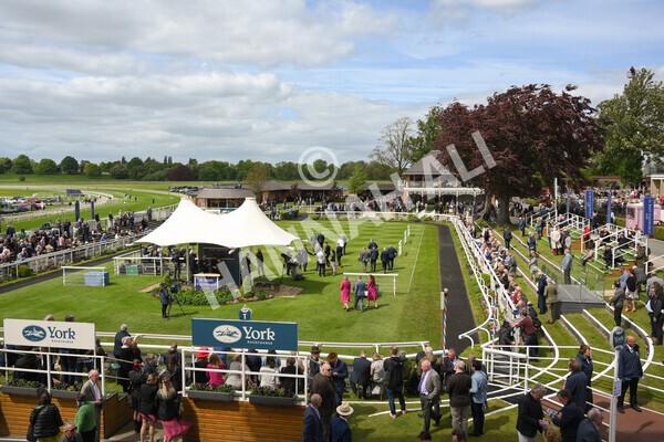 yr12052022r1-14 - Race 1 1.50pm Paddy Power 'Making Flat Less Flat' Stakes
