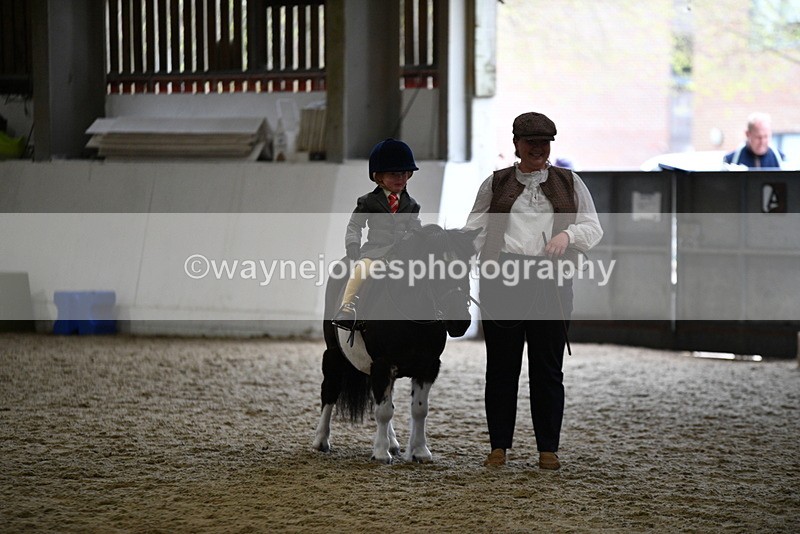 WJ5_6679 - Class 10 Childs Pony