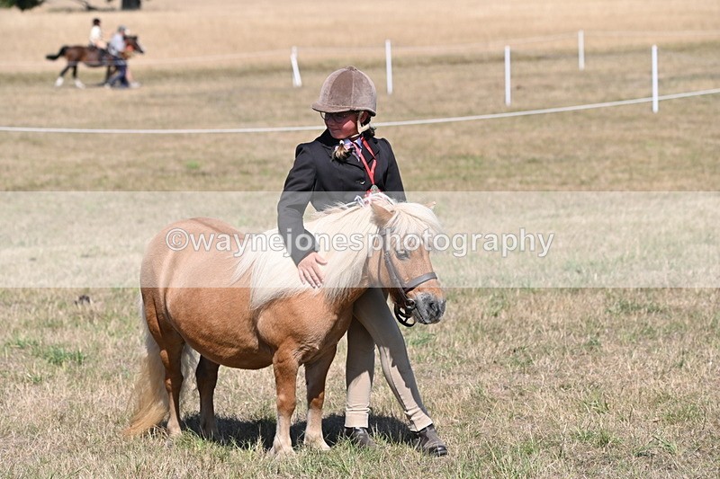 WJ6_9262 - Championship Classes 33-38