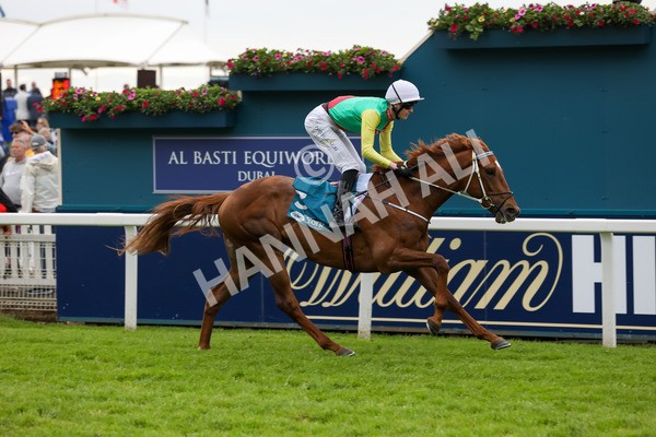 250524-Race 6-Primo Lara-3287 - Race 6 4.30pm Royal Yorkshire Regiment Handicap